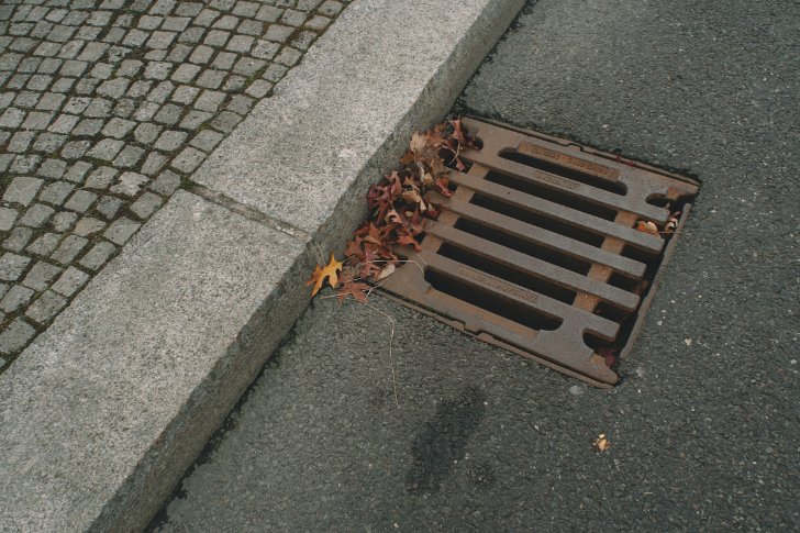 storm drain in road with leaves in drain