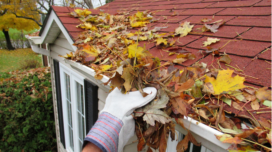 Leaves in the gutter