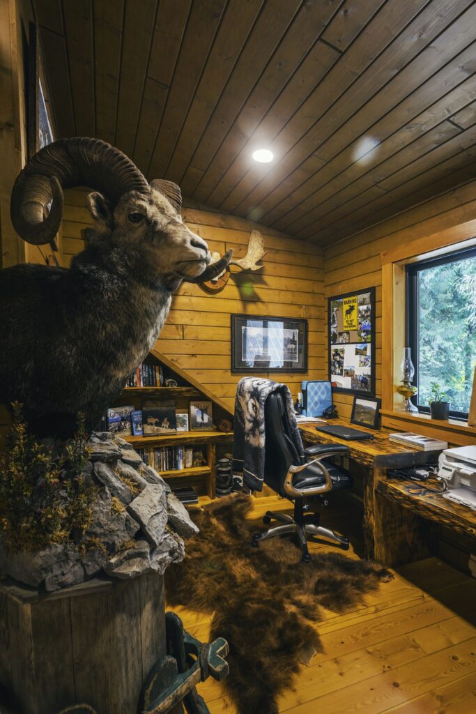 Taxidermy gallery wall in office