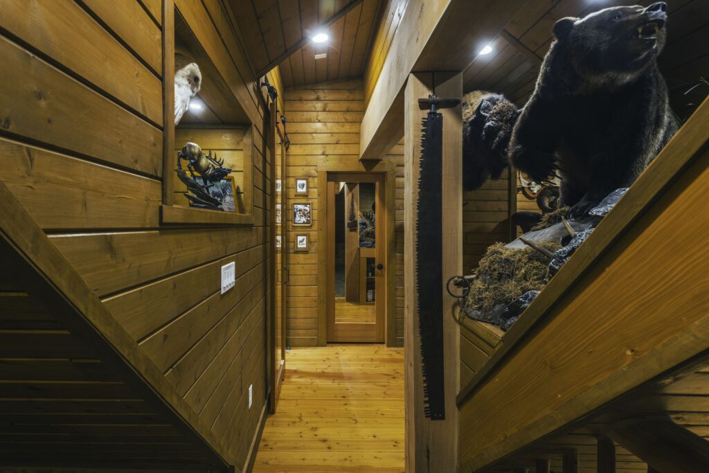 Taxidermy gallery wall in rustic interior