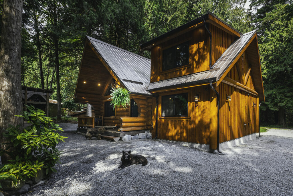 A cozy wooden cabin with a metal roof sits among tall trees. Two dogs relax on the gravel driveway in front of the house, and plants decorate the shaded porch area.