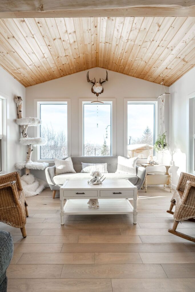 Bright, cozy living room with a wood-paneled ceiling, large windows, a gray sofa, a white coffee table, wicker chairs, cat furniture, and decorative plants. Natural light fills the space, creating a warm atmosphere.
