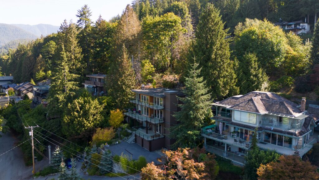 Aerial view of two modern houses surrounded by tall trees and dense forest, situated on a hillside next to a quiet residential road. Mountains are visible in the background.
