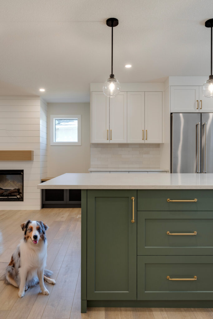 A dog sits on light wood flooring in a modern kitchen with white cabinets, a stainless steel fridge, green island with gold handles, and pendant lights. A fireplace and window are visible in the background.