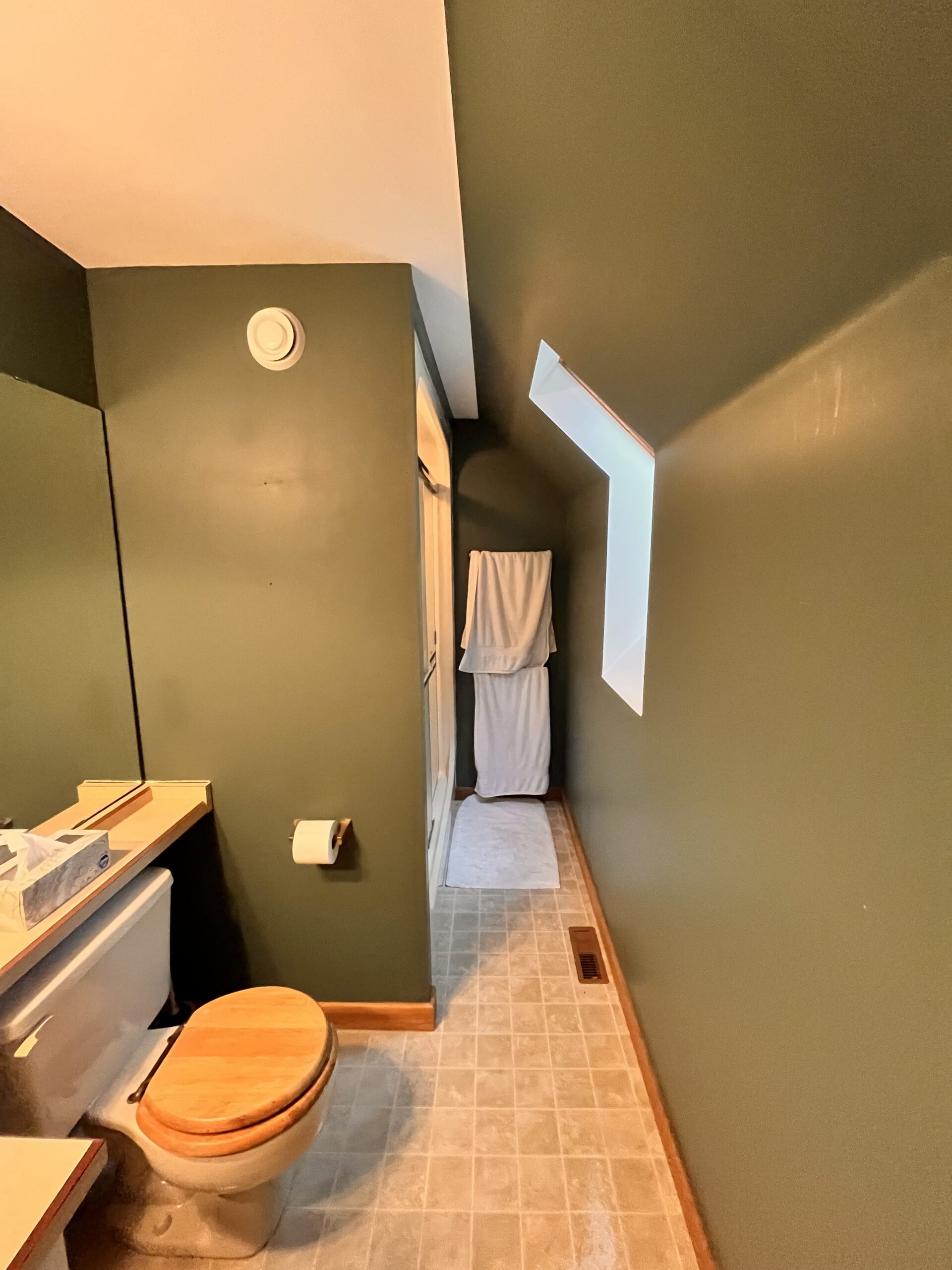 Bathroom Before